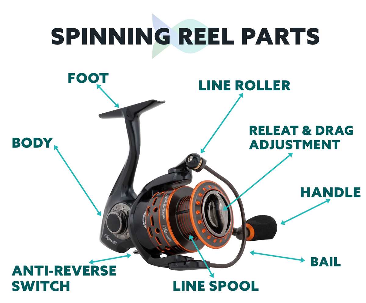 diagram fishing reel parts