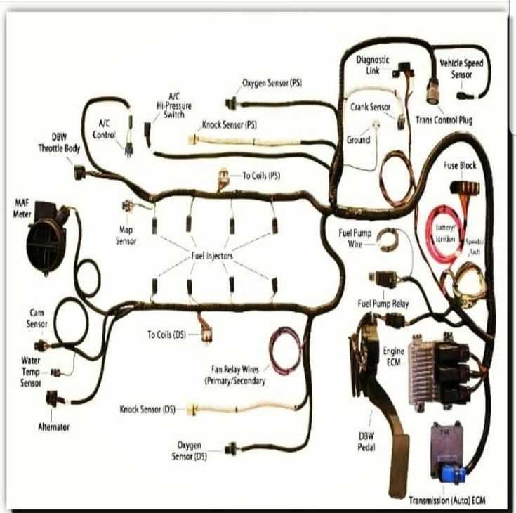 ls swap wiring diagram ls swap wiring diagram