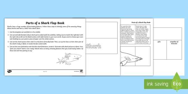 parts of a shark diagram