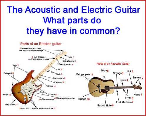 parts of an acoustic guitar diagram