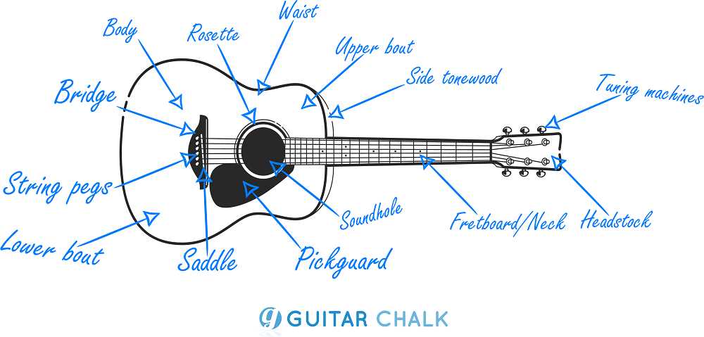 parts of the acoustic guitar diagram