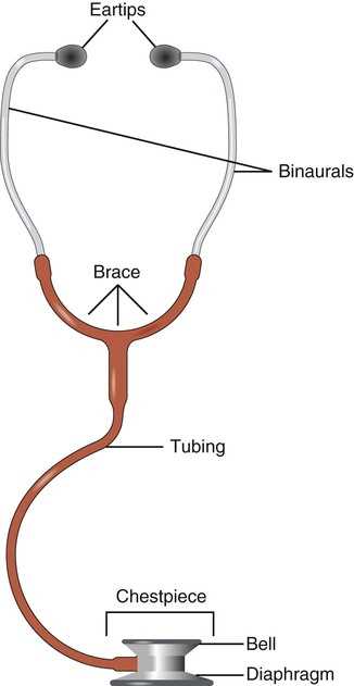 stethoscope parts diagram stethoscope parts diagram