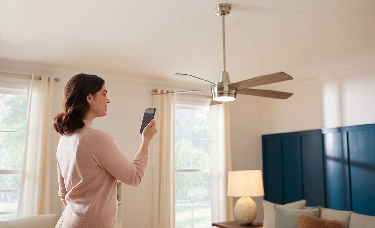 wiring diagram for ceiling fan