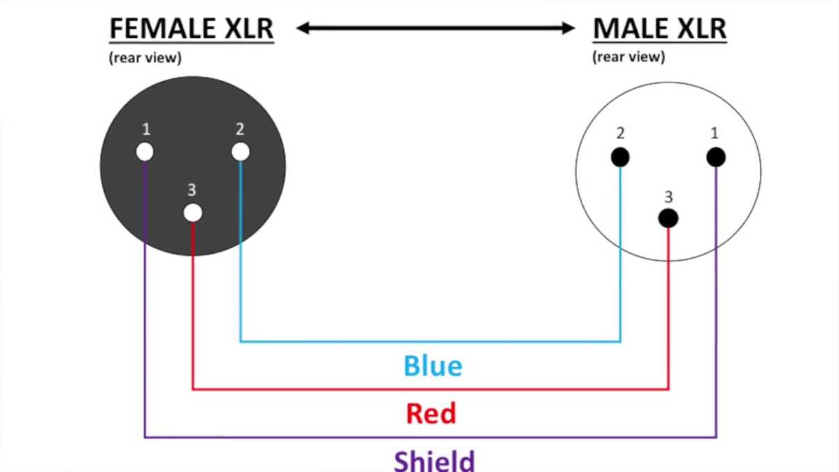 xlr connector wiring diagram xlr connector wiring diagram