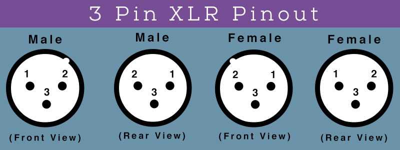 xlr connector wiring diagram xlr connector wiring diagram