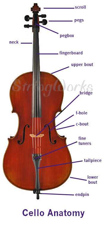 cello parts diagram