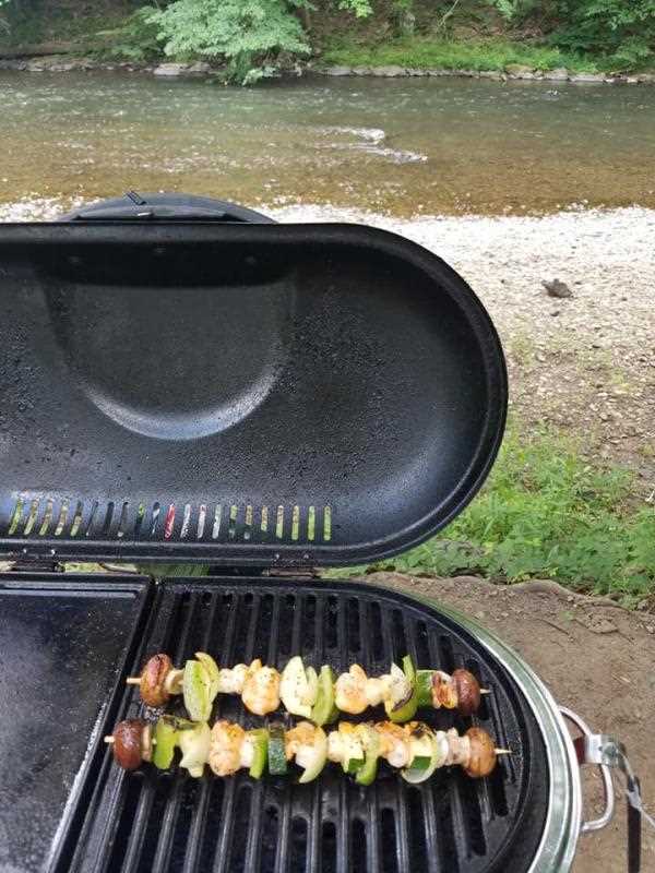 coleman roadtrip grill parts diagram