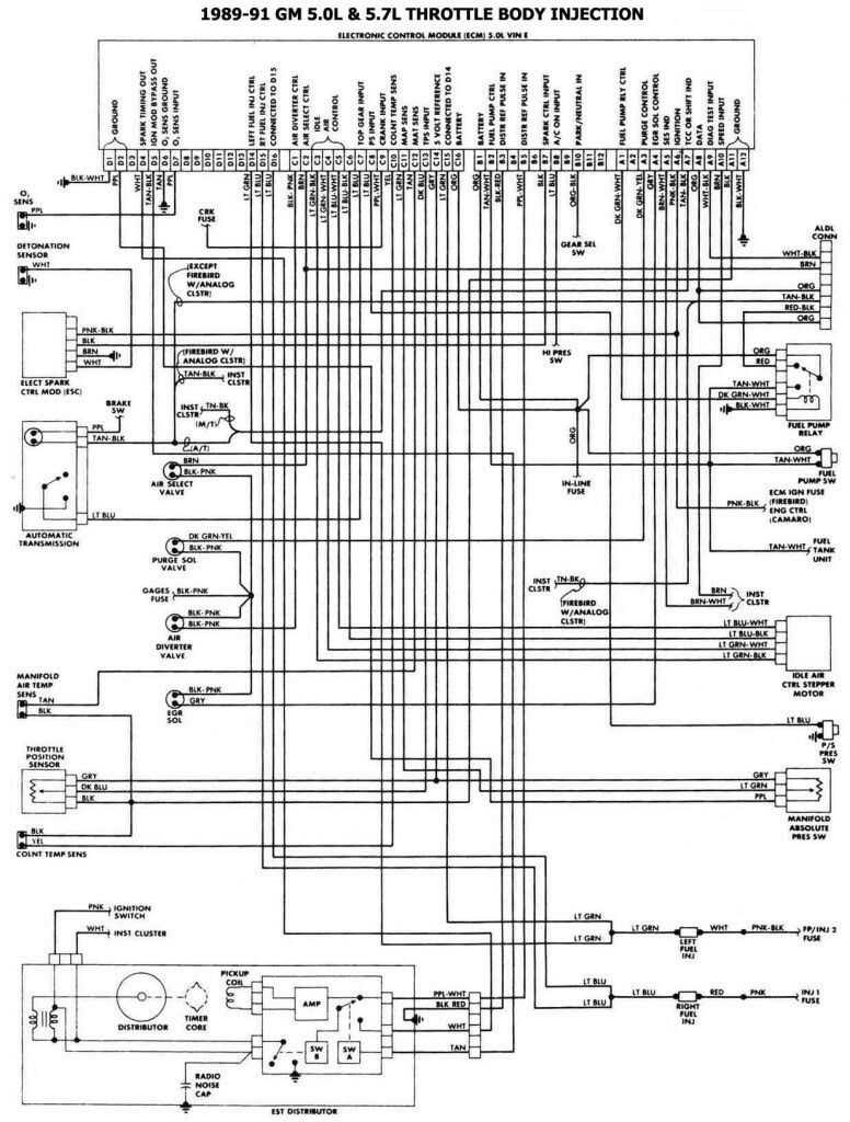 gm body control module wiring diagram
