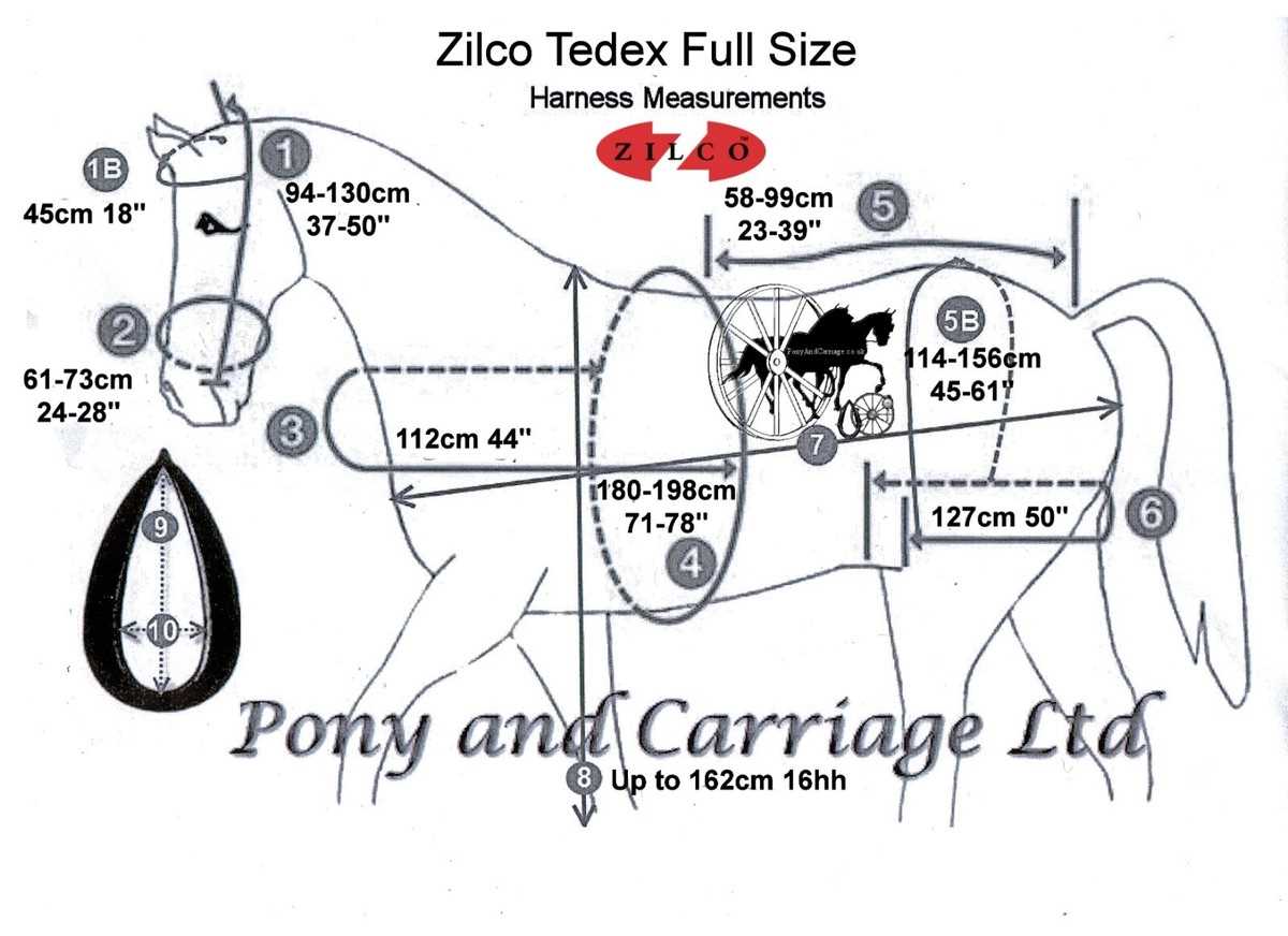 horse harness parts diagram