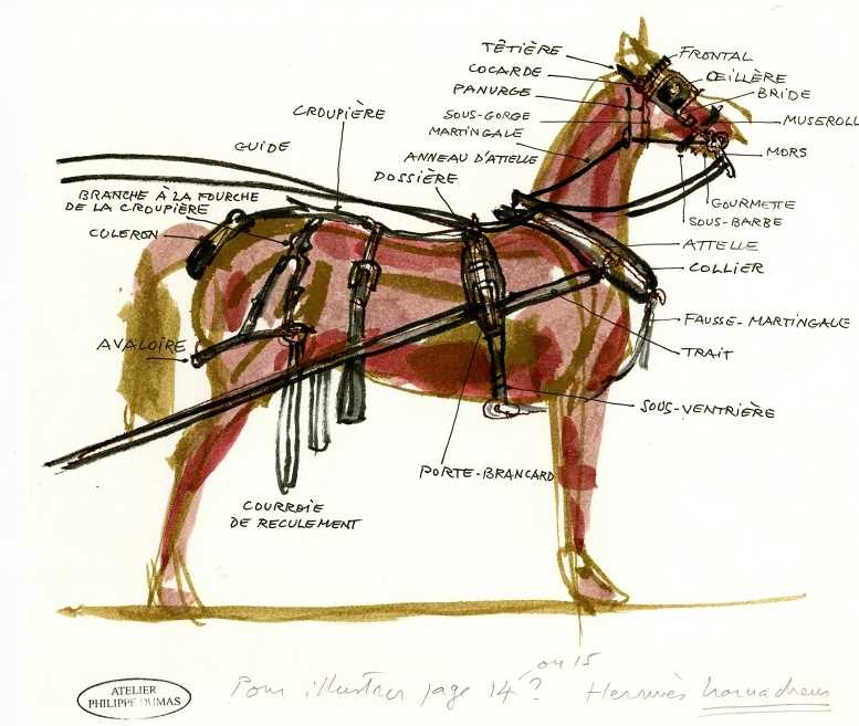 horse harness parts diagram