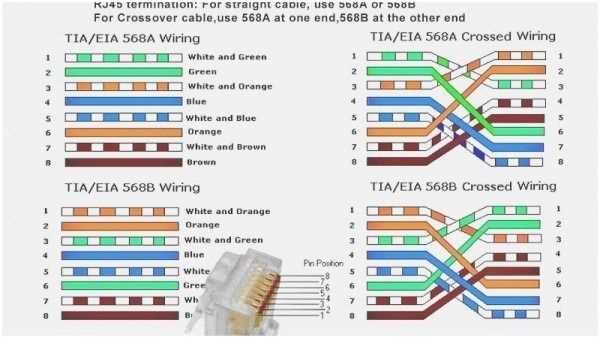socket cat 6 wiring diagram for wall plates