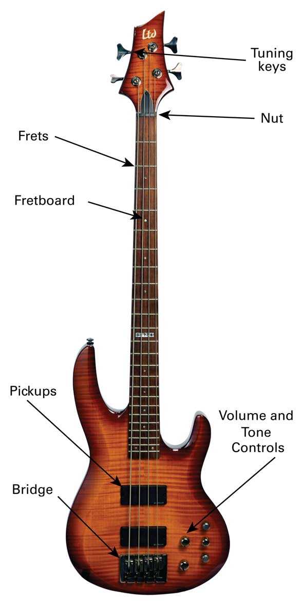 parts of bass guitar diagram