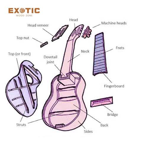 parts of the acoustic guitar diagram