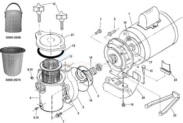pentair pump parts diagram