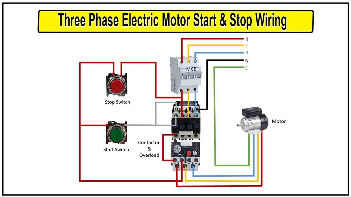 electric motor wiring diagram 3 phase electric motor wiring diagram 3 phase