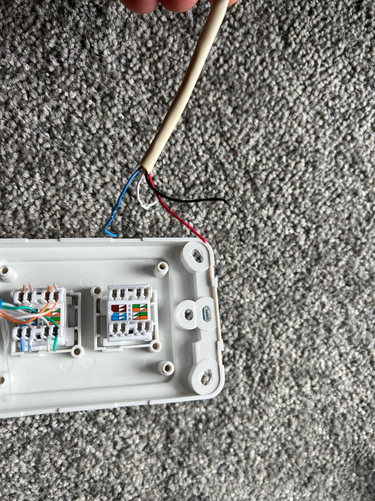 socket cat 6 wiring diagram for wall plates