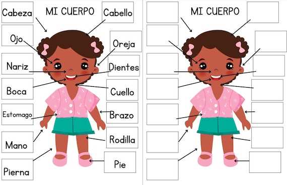 spanish body parts diagram
