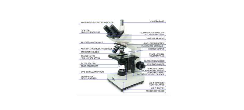 microscope diagram with parts